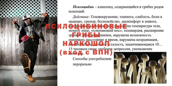гашик Балахна