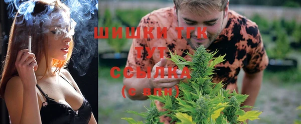 гашик Балахна